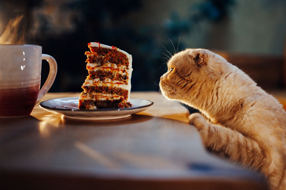 Photograph by Алена Нестерова