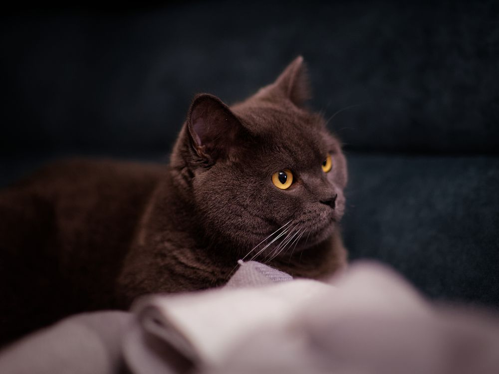 Photograph by Вячеслав Кирьянов