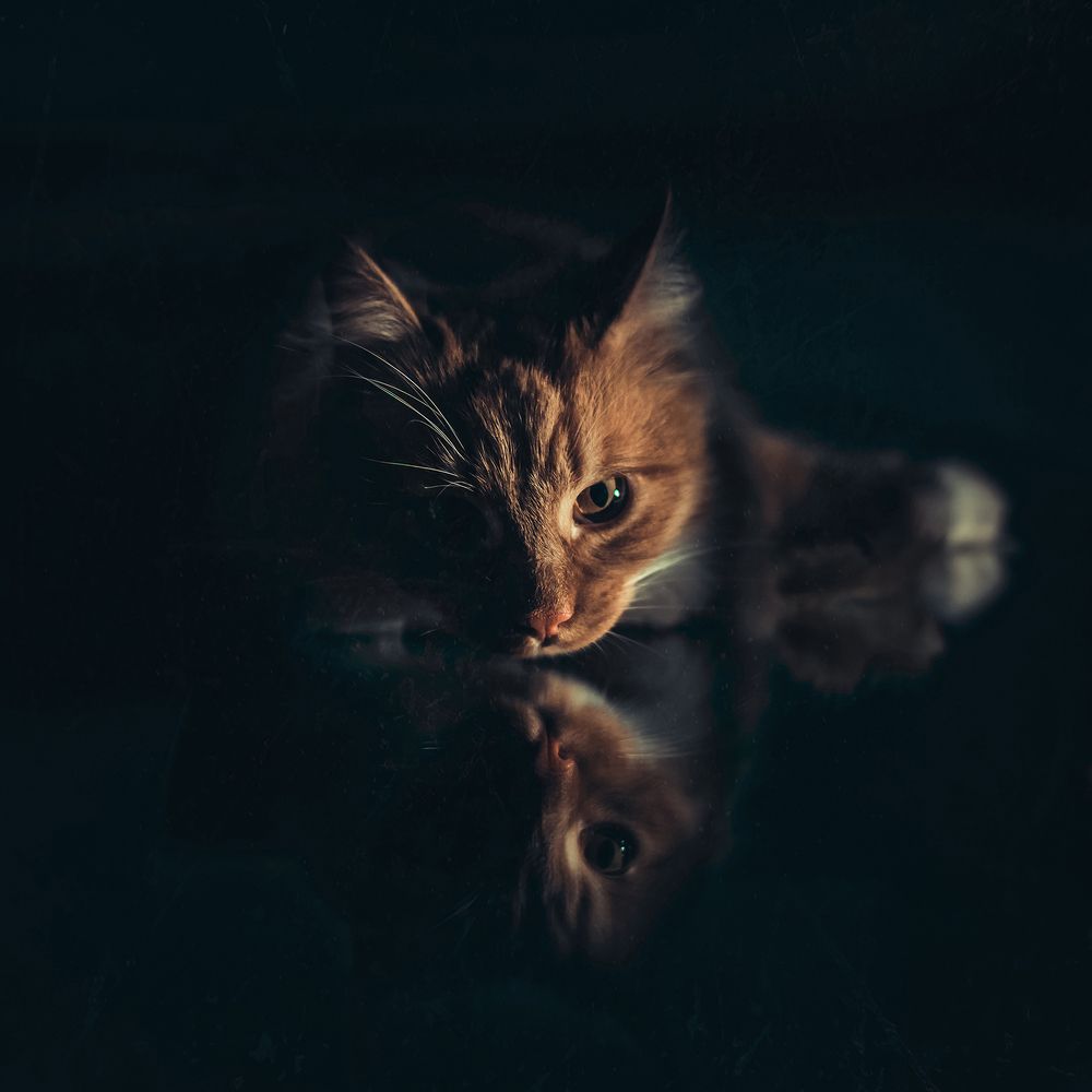 Photograph by MVO (Марк Орлов)