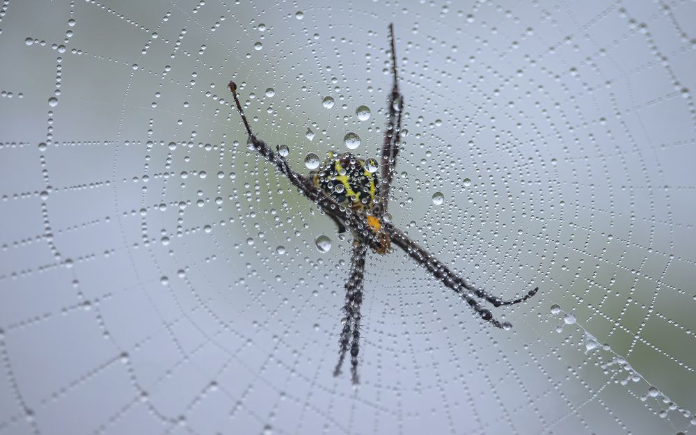 Photograph by Deepak KGK