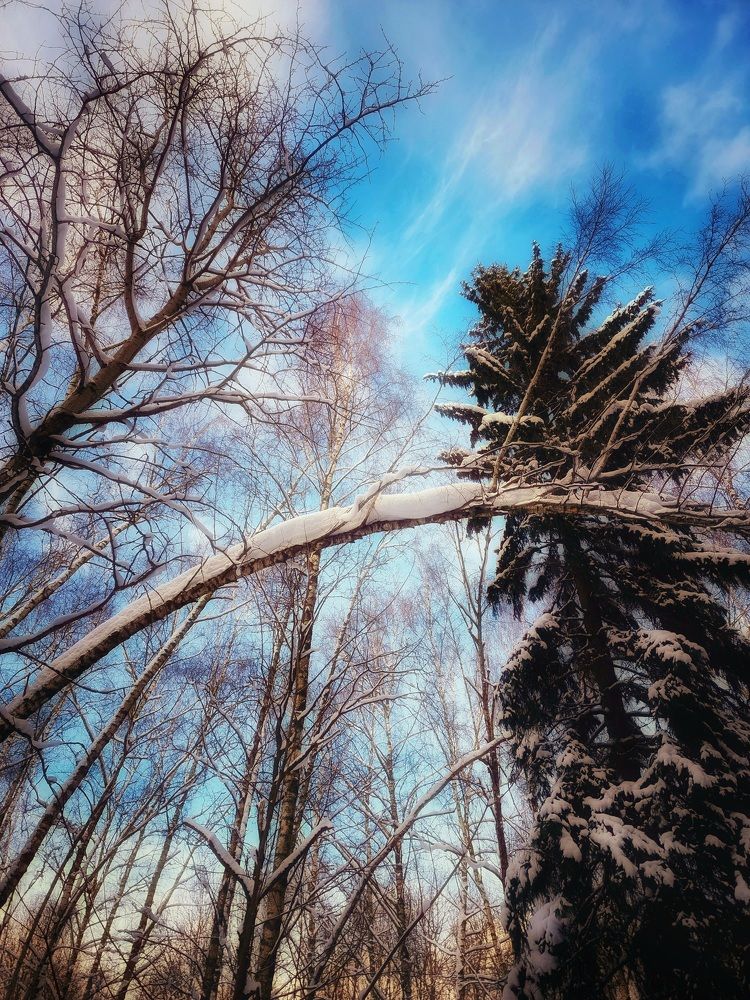 Photograph by Екатерина Цыбулькина