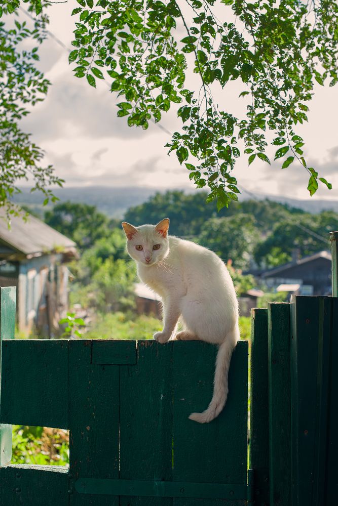 Photograph by Natalia Badyul