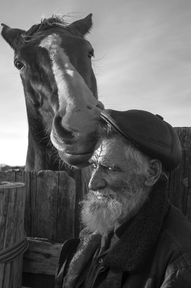 Фотография автора Светлана Воротынцева