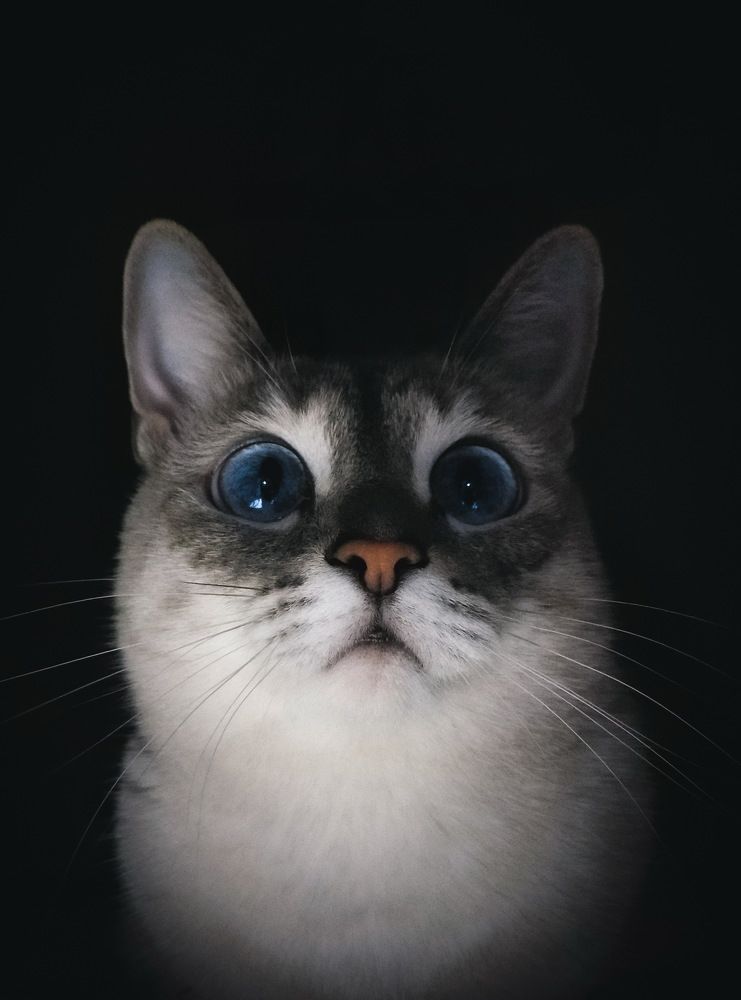 Photograph by Шаромов Иван