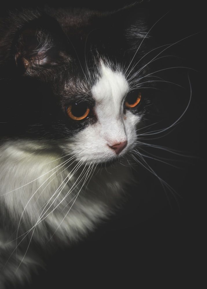 Photograph by Екатерина Сорока