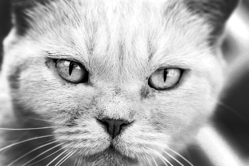 Photograph by Владимир Салапонов