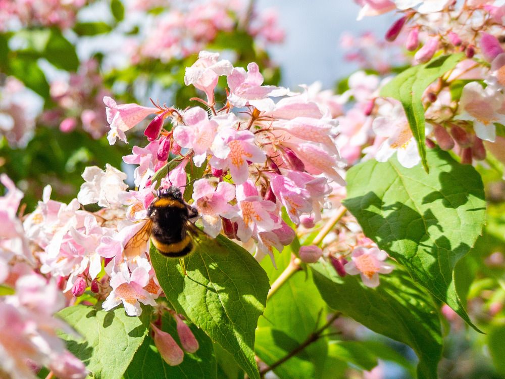 Photograph by Роман Шаров