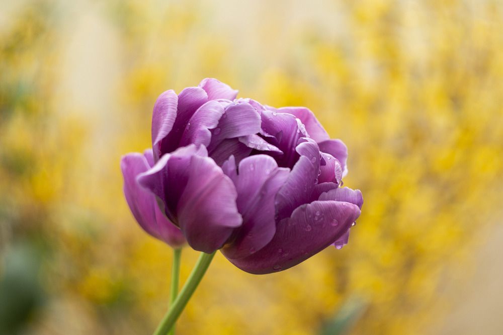 Photograph by Роман Шаров