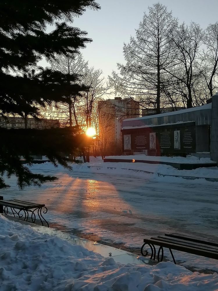 Photo #8687172