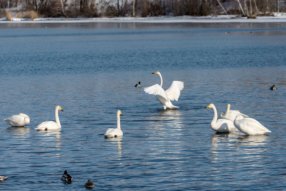 Photograph by Игорь Боголюбов