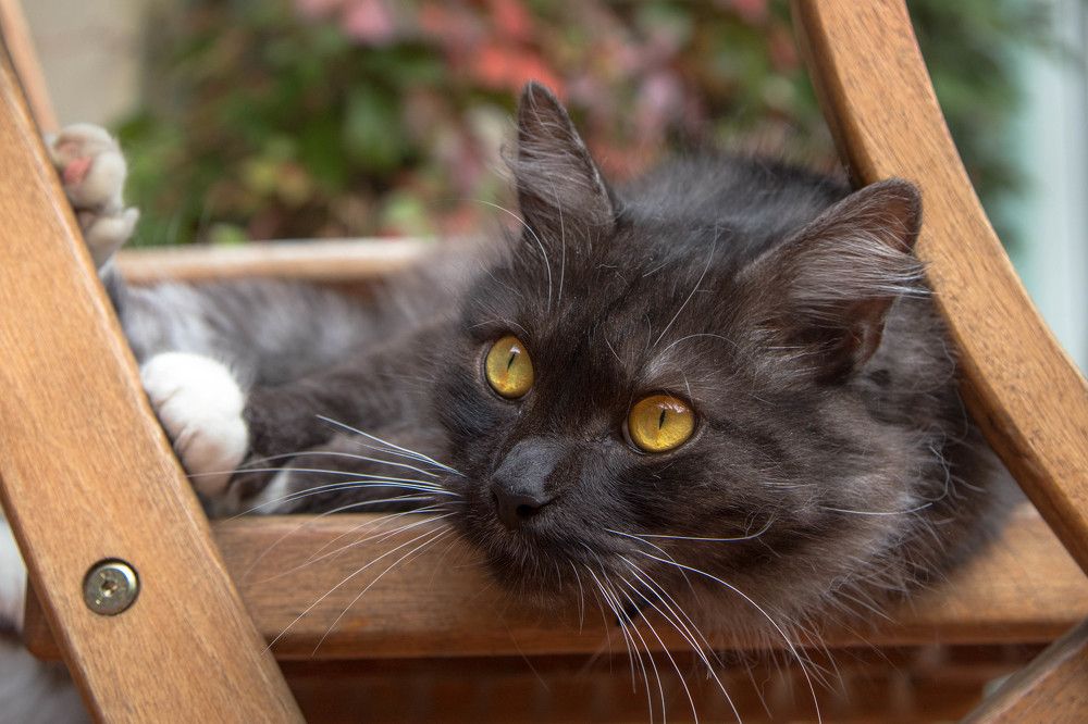 Photograph by Наталья Брюхненко