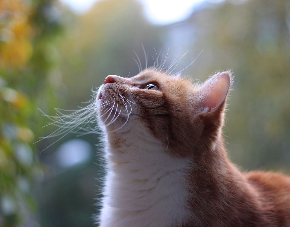 Photograph by Елена Петрова