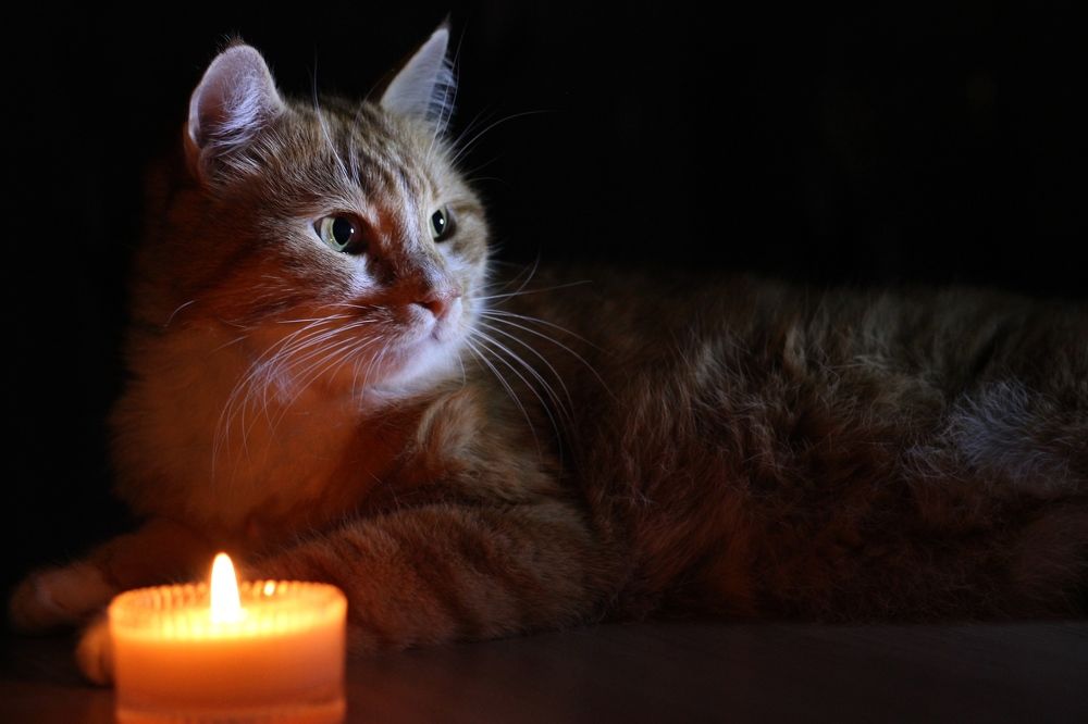 Photograph by Елена Петрова