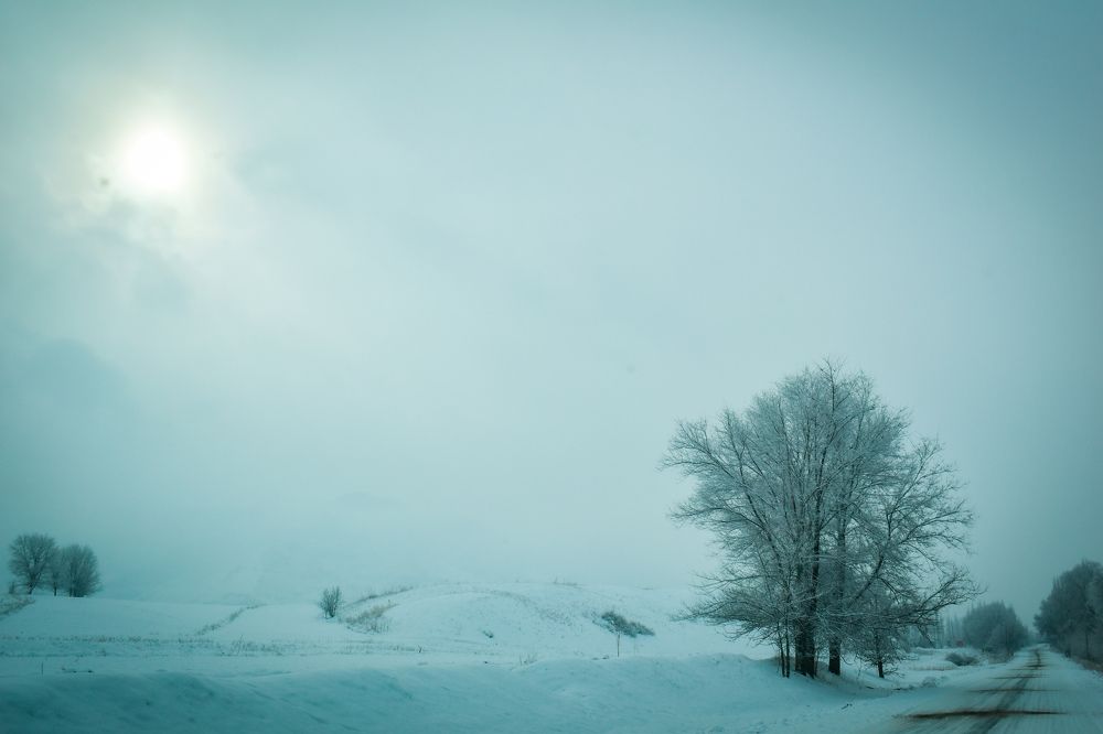 Фотография автора Кристина Шефер