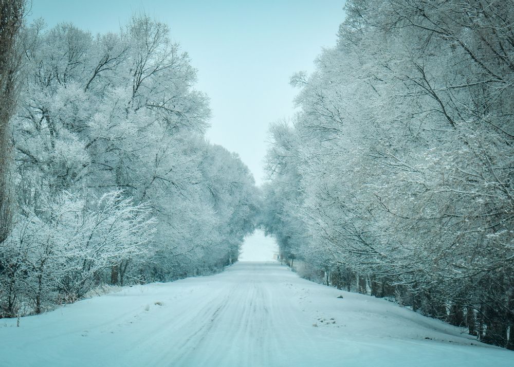 Фотография автора Кристина Шефер