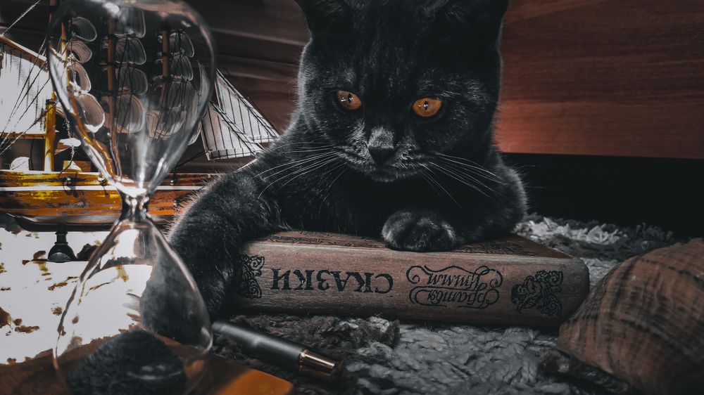 Фотография автора Кристина Шефер