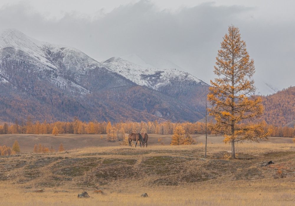 Photograph by Илья Поляк