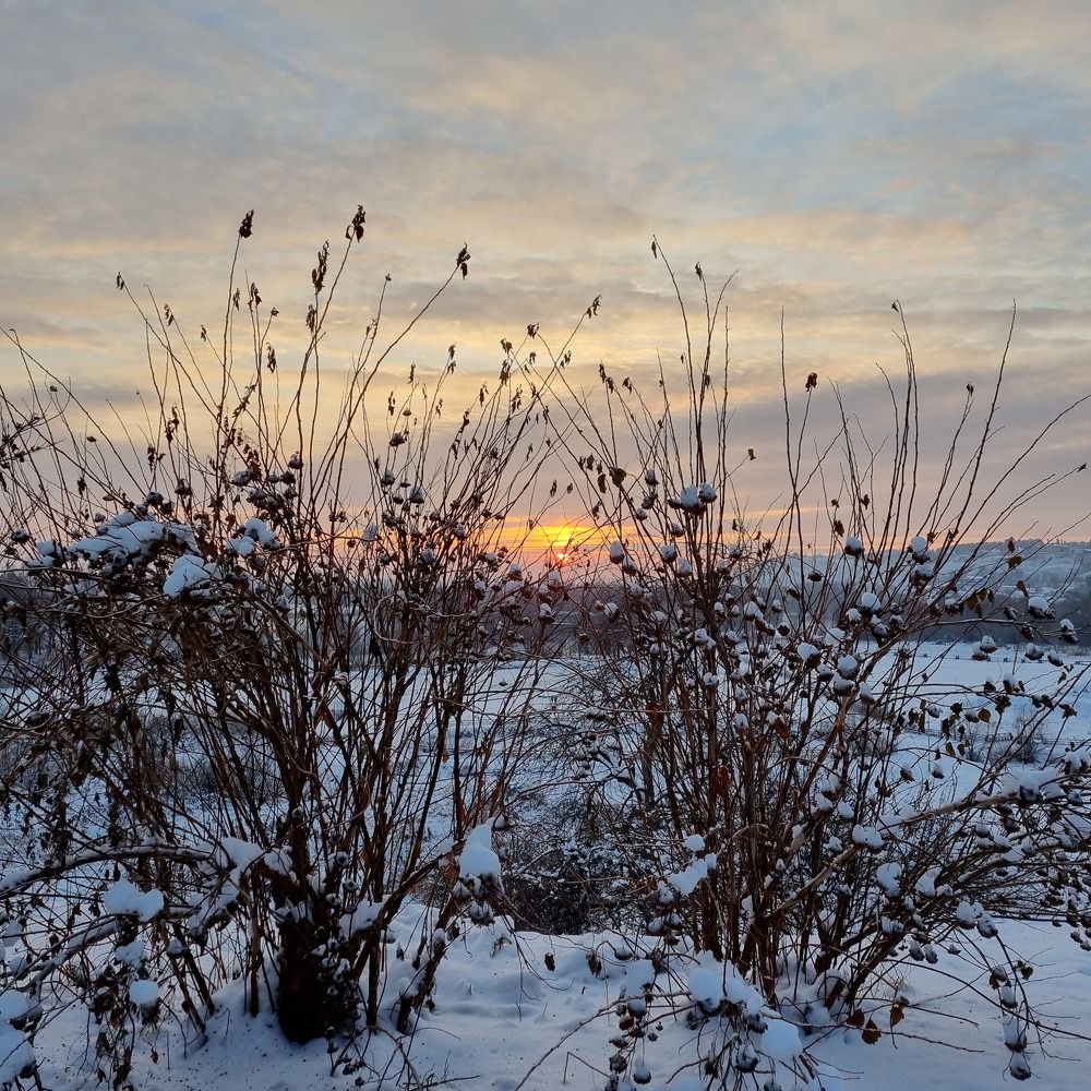 Photograph by Наталья Королева