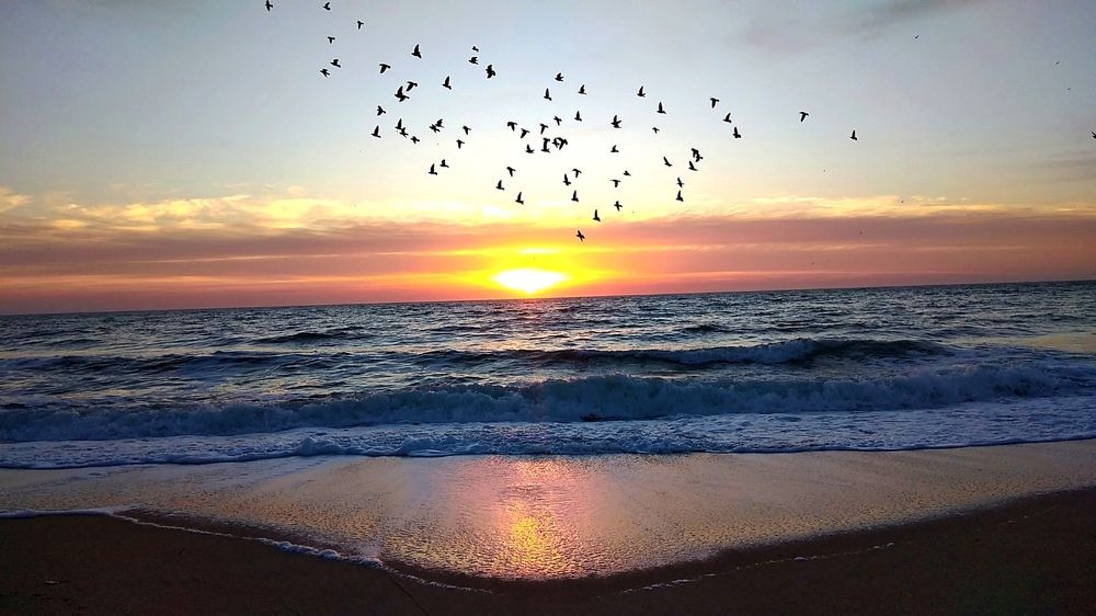 Photograph by Анна Гросу