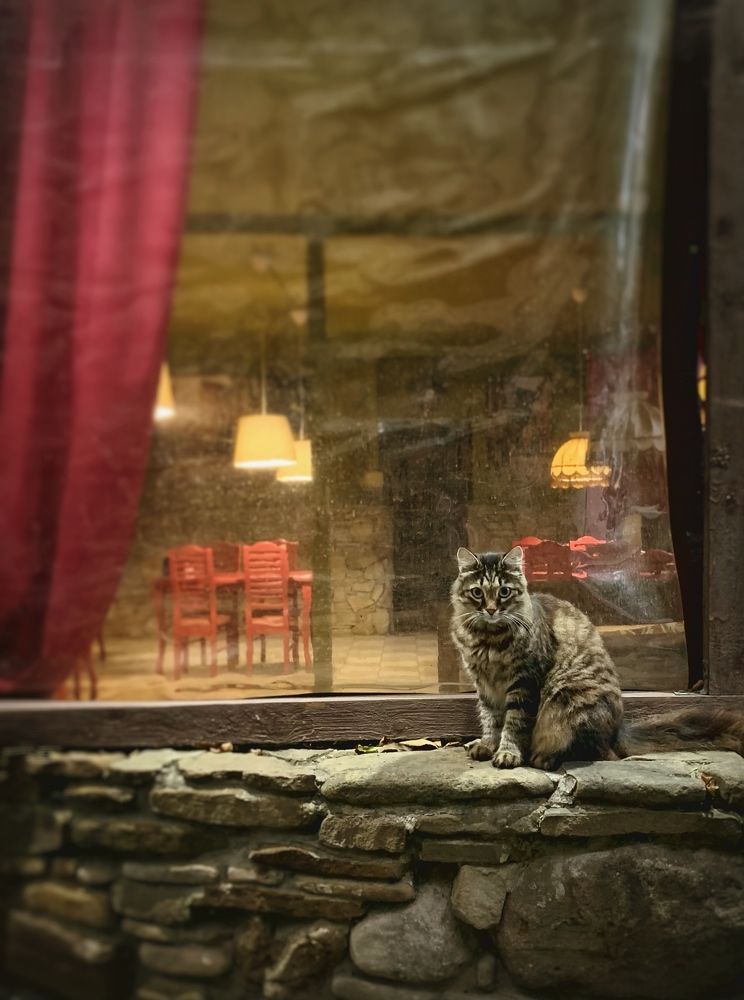 Photograph by Татьяна Семёнова