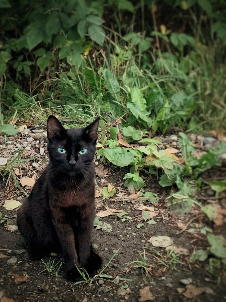 Photograph by Татьяна Семёнова