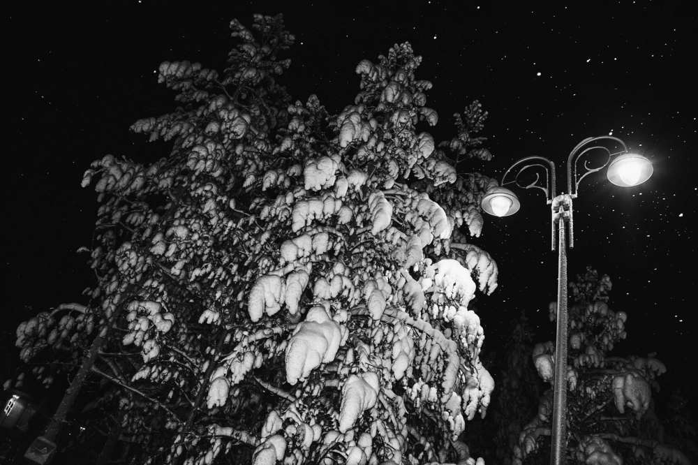 Photograph by Денис Клубникин