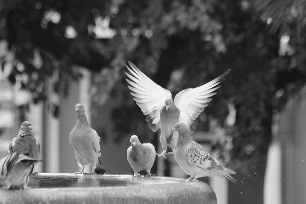 Photograph by Nadzeya