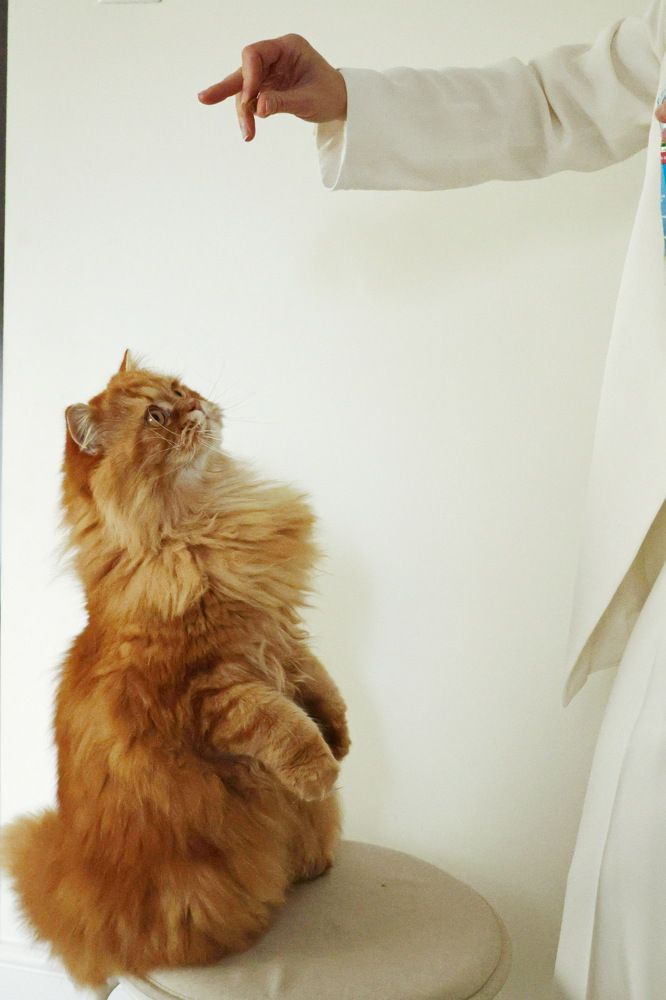 Photograph by Tatiana Serova