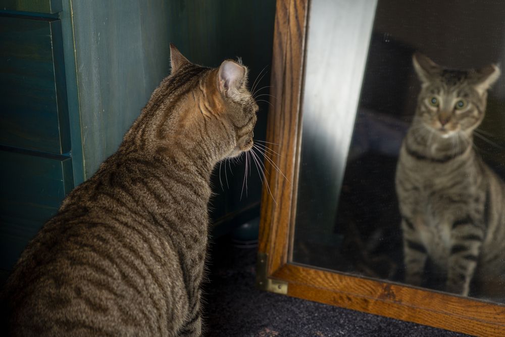 Photograph by Запылаева Анна