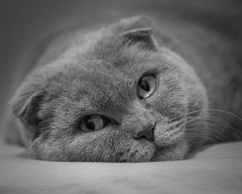 Photograph by Михаил