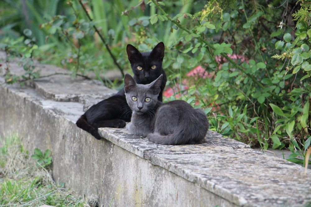 Сумрак&Ночь