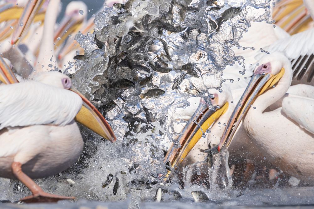 Photograph by dana berger