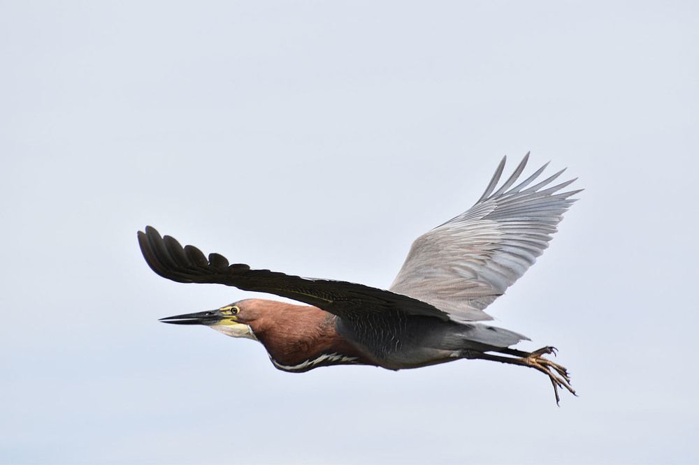 Photograph by Rosana Moyano