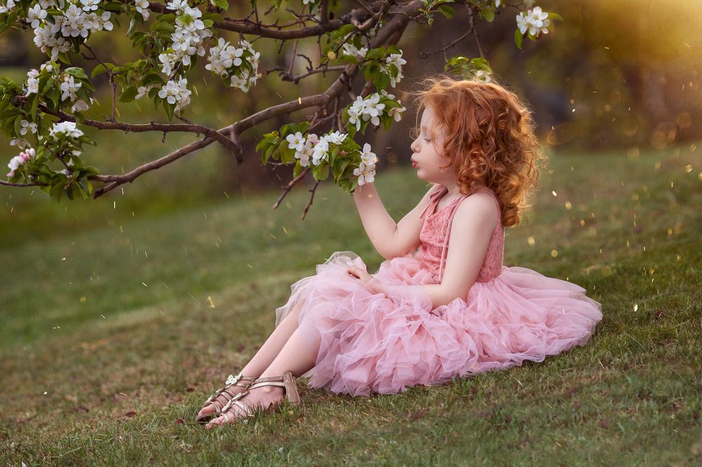 Photograph by Ana Mullins