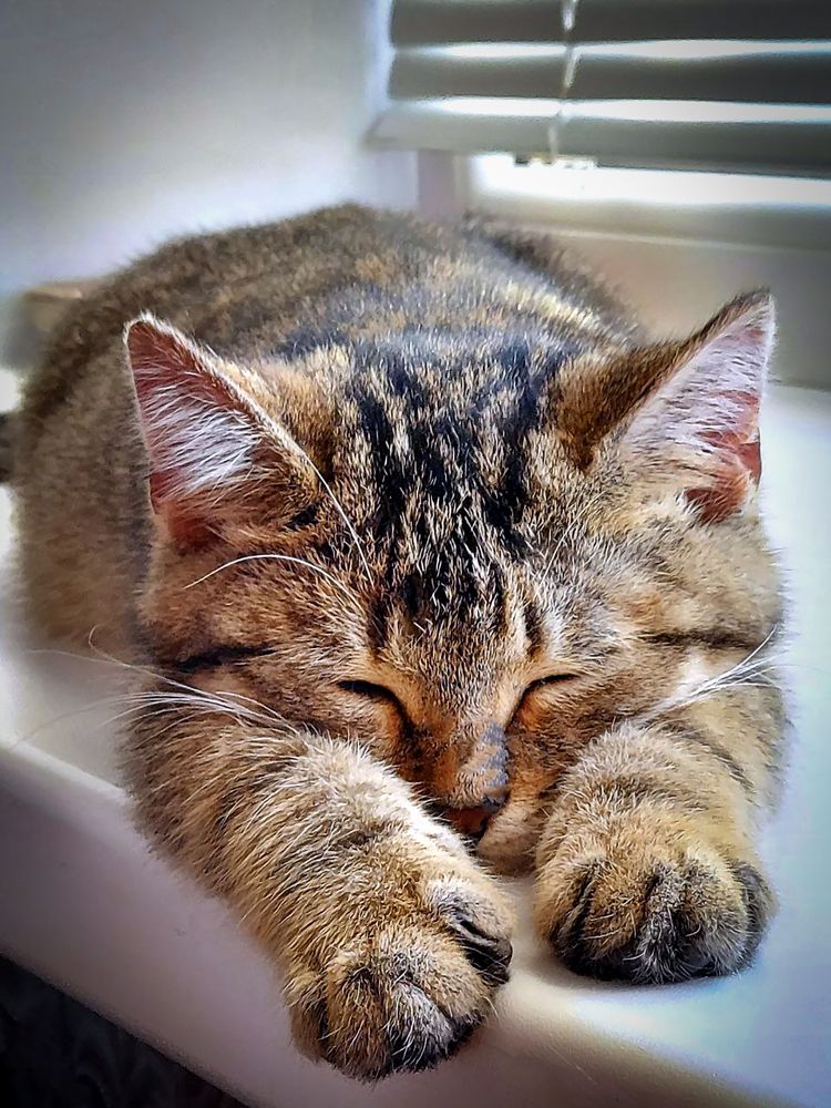 Photograph by Вероника