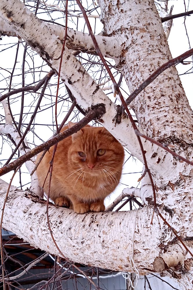 Photograph by Вероника