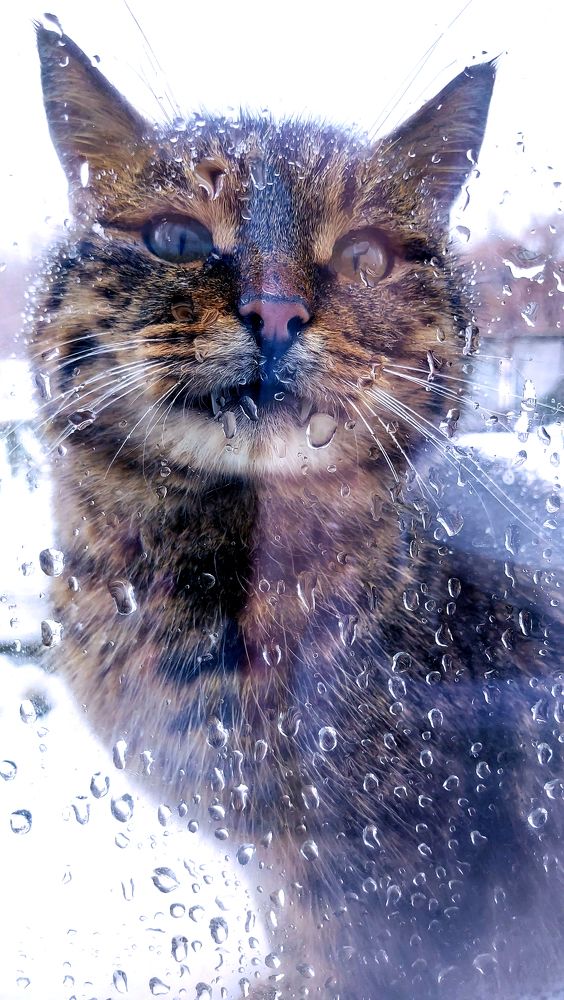 Photograph by Вероника