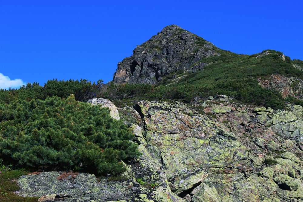 Photograph by Александр Романович