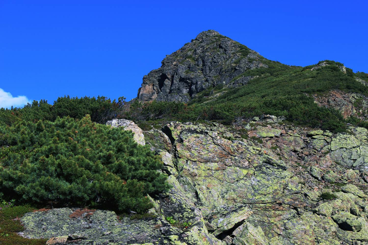 Photo #8687706
