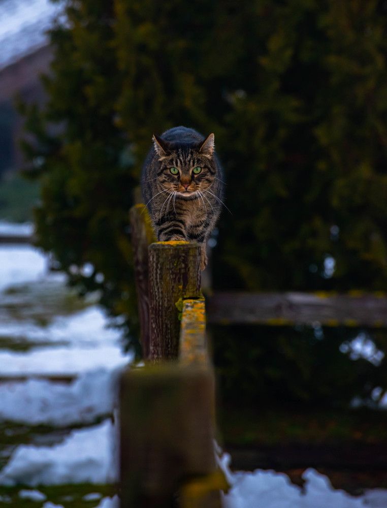 Фотография автора Aлексей Игнатьев