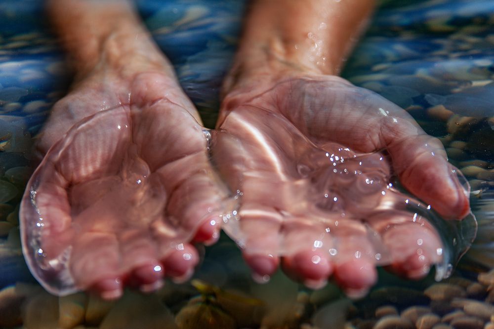 Медузы среди нас.