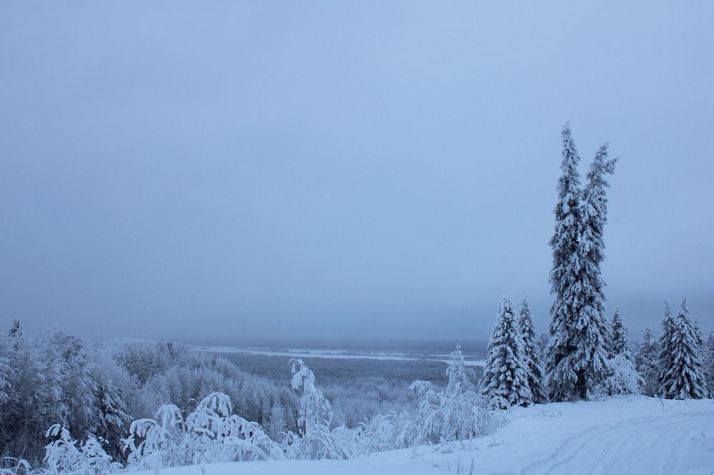 Photograph by Полина Зайцева