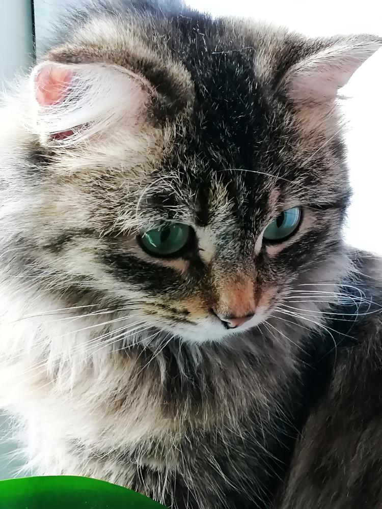 Photograph by Галина Карманова