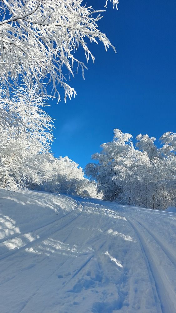 Photograph by Юлия Садовщикова