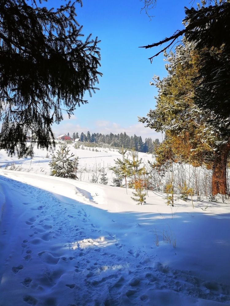 Photograph by Галина Карманова