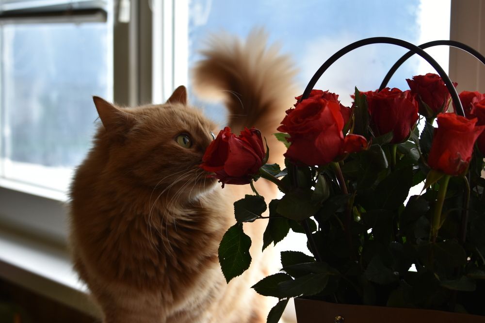 Photograph by Татьяна Калугина