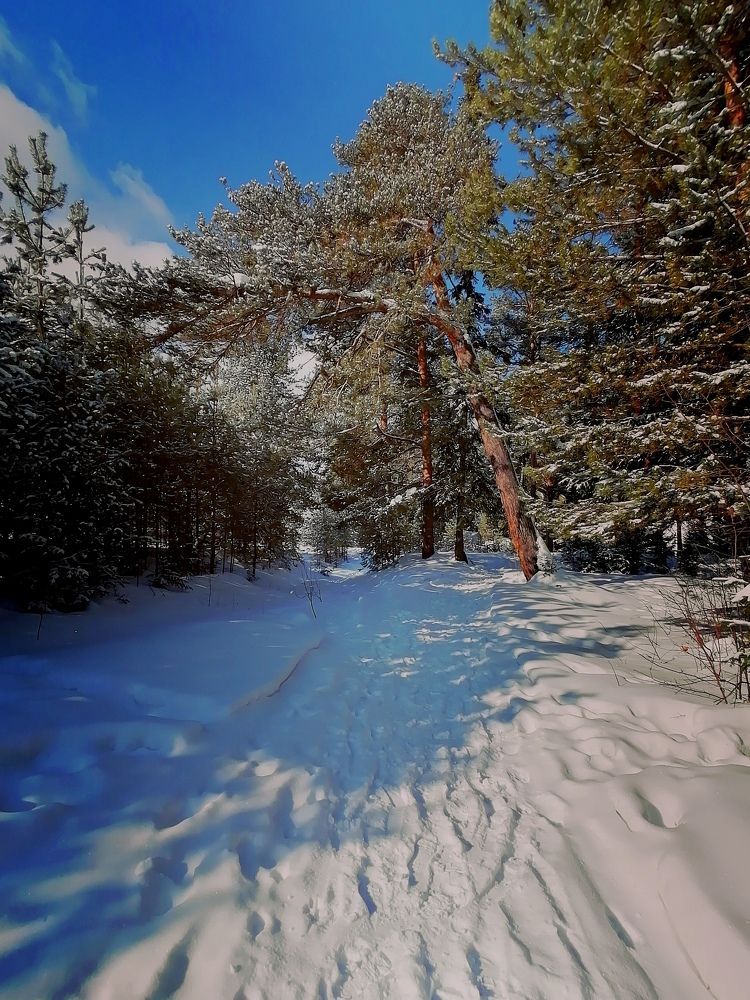 Photograph by Галина Карманова