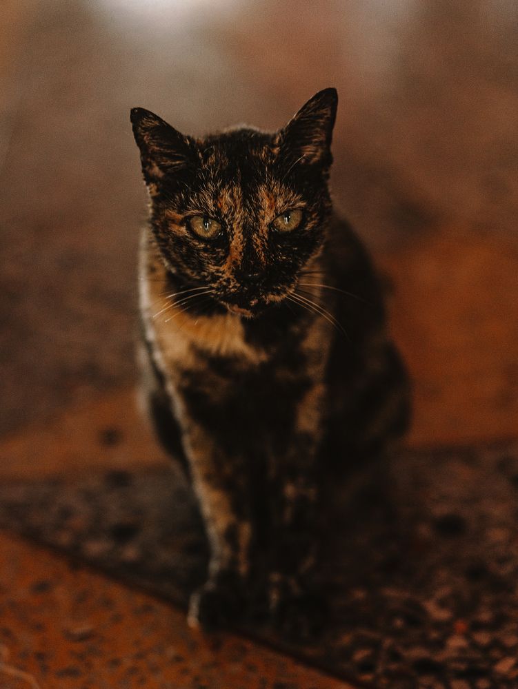 Photograph by Валентина Волкова