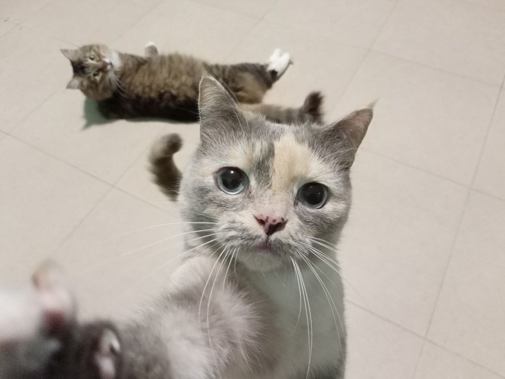 Photograph by Татьяна Носкович