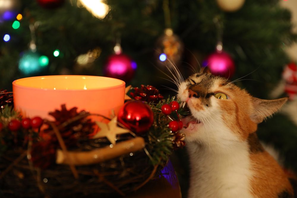 Photograph by Мария Kокоревич